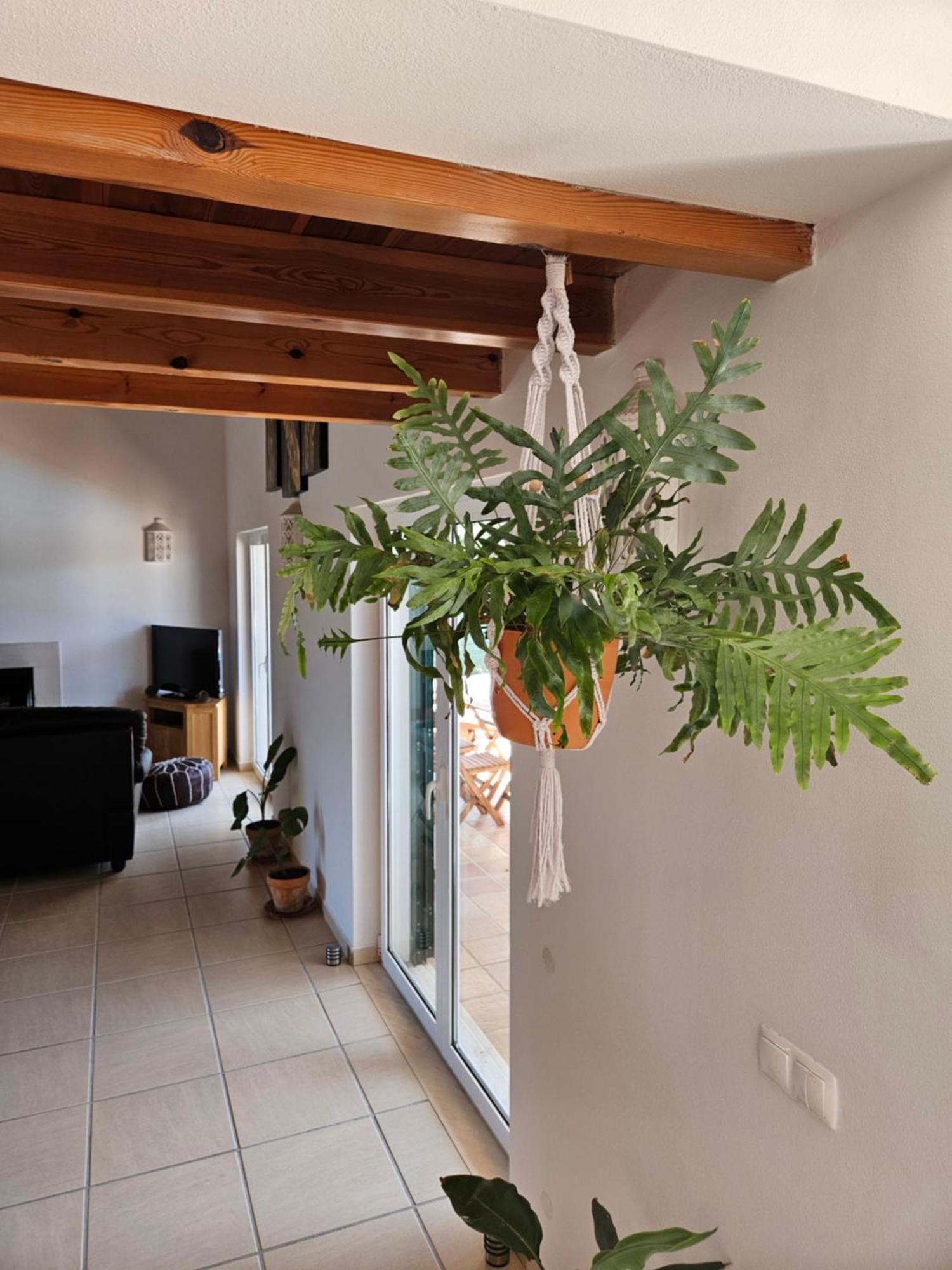 Casa Delbon Guest House Aljezur Luaran gambar
